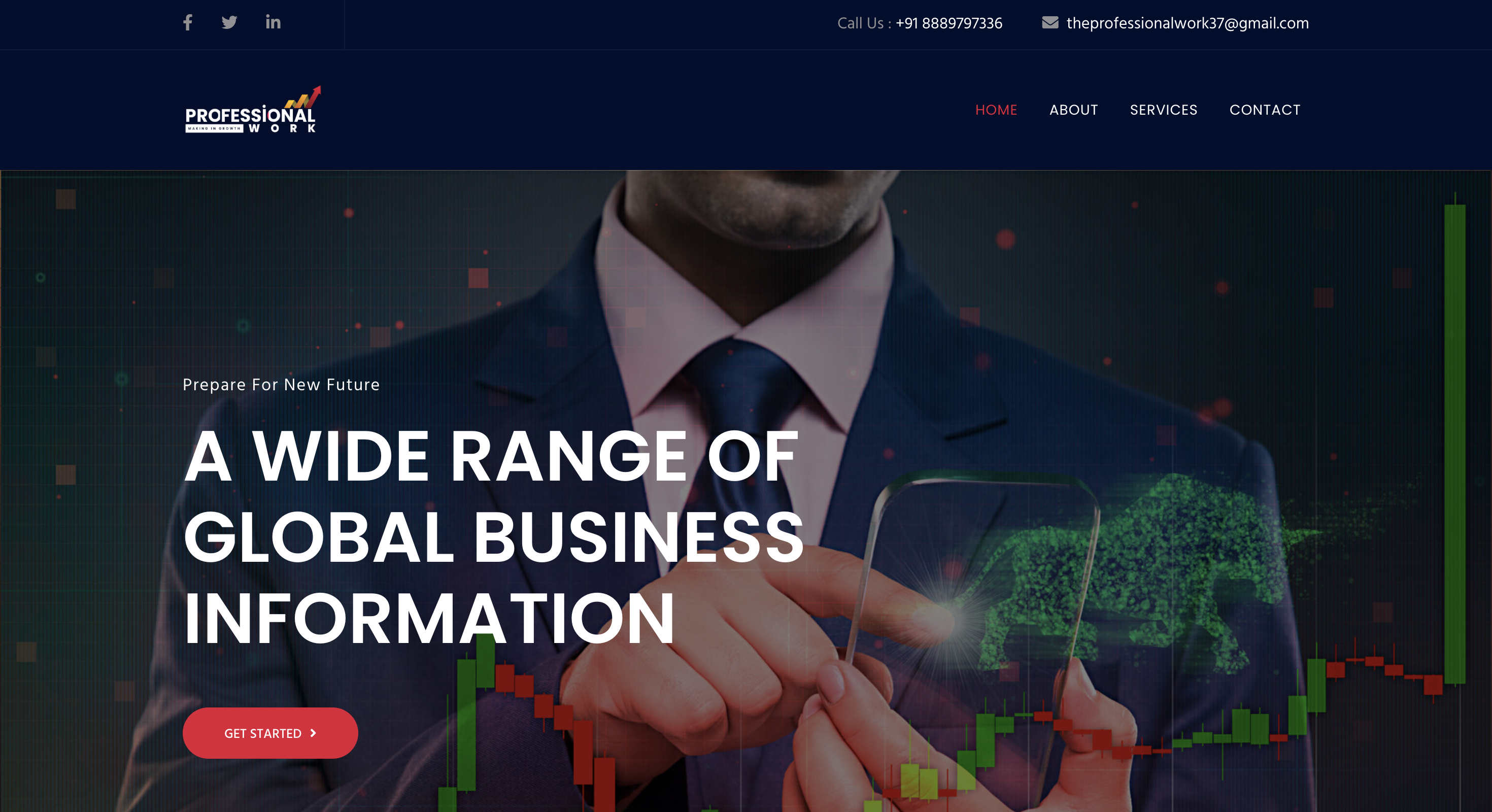 The Professional Work consulting website portfolio image